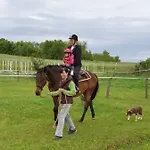 Golden Valley & Ranch