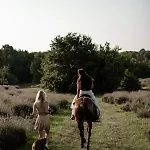 Apartmán Golden Valley & Ranch Martinski