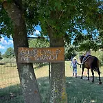 Apartmán Golden Valley & Ranch *