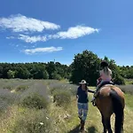 Golden Valley & Ranch * Martinski