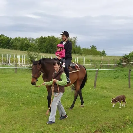 Golden Valley & Ranch