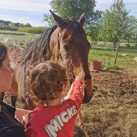 Golden Valley & Ranch Apartment
