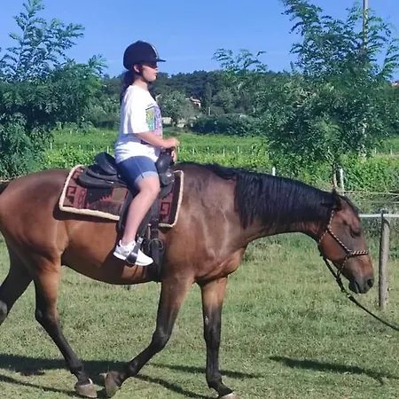 公寓 Golden Valley & Ranch Martinski