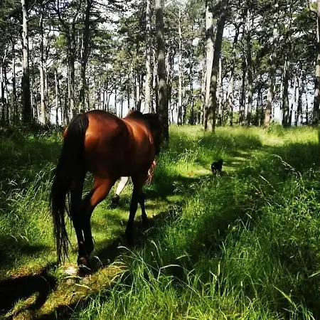 Golden Valley & Ranch Apartment *