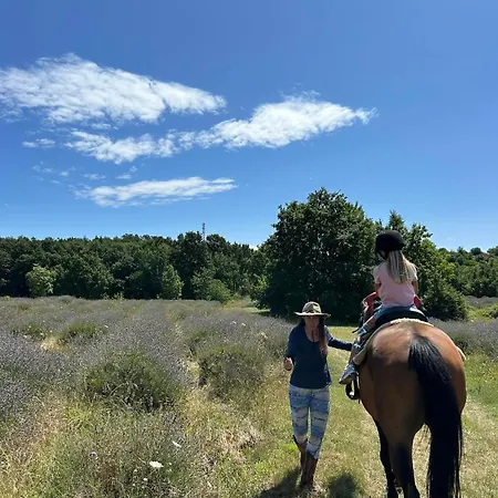 Golden Valley & Ranch * Martinski
