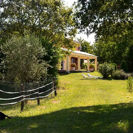 Golden Valley & Ranch * Martinski