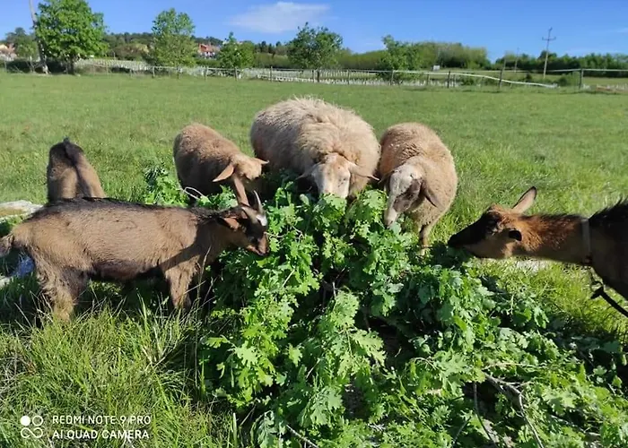 Appartement Golden Valley & Ranch Martinski