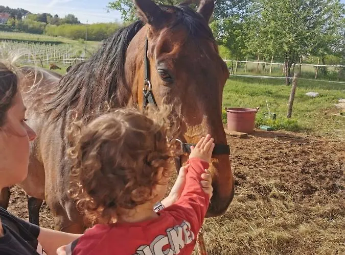 Golden Valley & Ranch Appartement