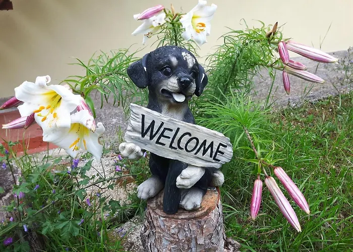 Golden Valley & Ranch