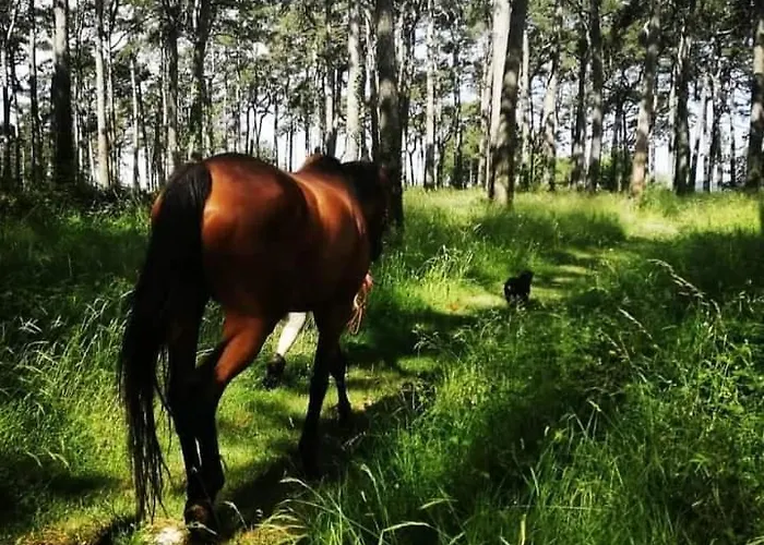 Golden Valley & Ranch Appartement *