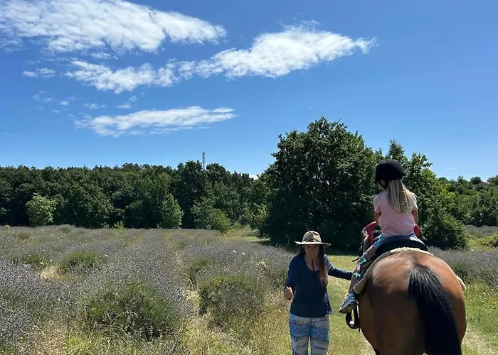Golden Valley & Ranch * Martinski