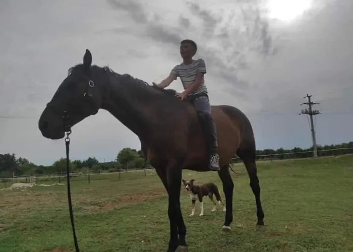 Appartement Golden Valley & Ranch *