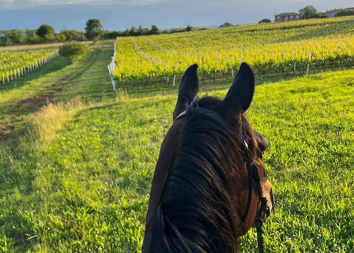 Appartement Golden Valley & Ranch Martinski