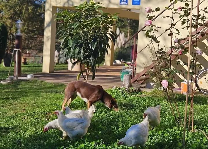 Golden Valley & Ranch