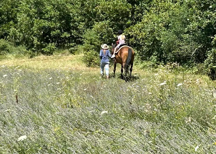 Golden Valley & Ranch Martinski