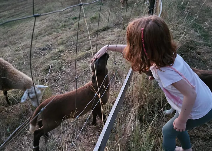 Golden Valley & Ranch Martinski