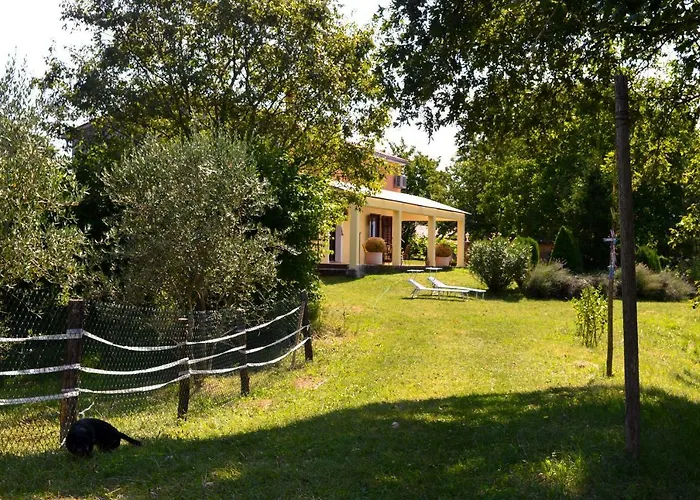 Golden Valley & Ranch * Martinski