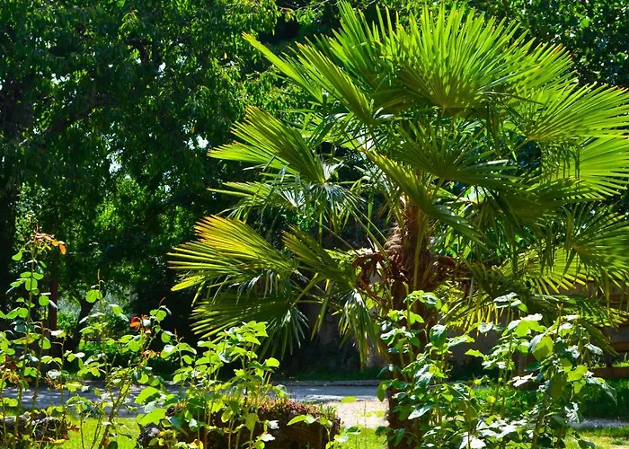 Golden Valley & Ranch *