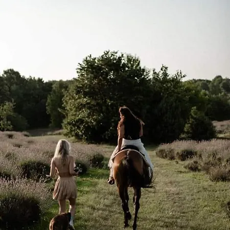 Daire Golden Valley & Ranch Martinski