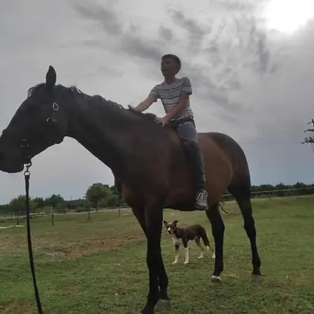 Διαμέρισμα Golden Valley & Ranch *