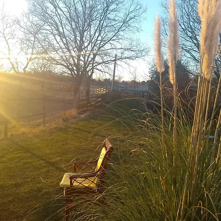 Appartamento Golden Valley & Ranch Martinski