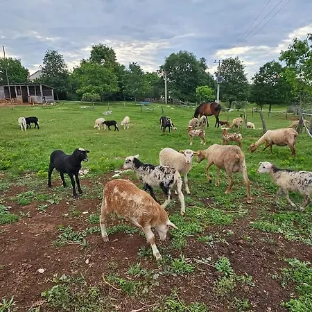 Golden Valley & Ranch Διαμέρισμα