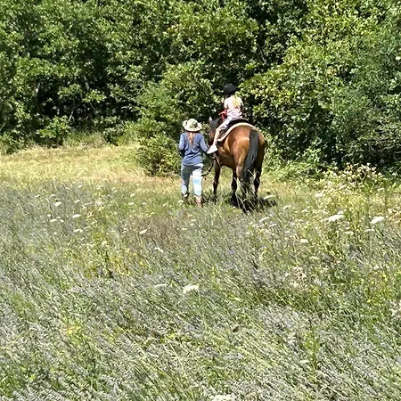 Golden Valley & Ranch Martinski