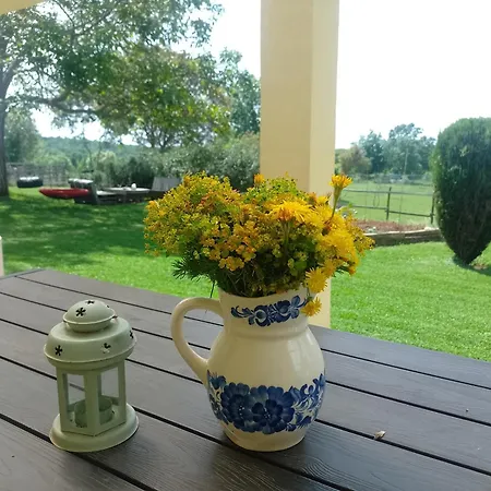 Golden Valley & Ranch Appartamento Martinski