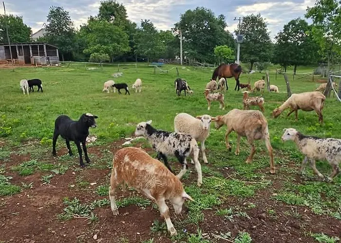Golden Valley & Ranch Apartman