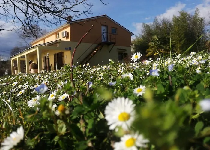 Golden Valley & Ranch